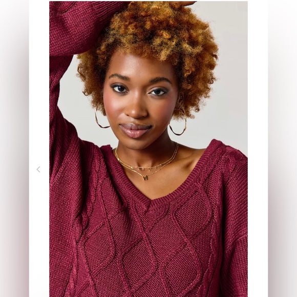 NWT Jonnie Deep V Cable Knit Sweater Small - Picture 4 of 5